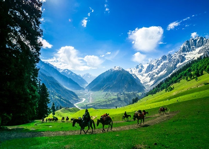 Kashmir Package 4 2